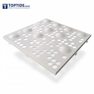 [Hot Item] Special Design Customized 3D Perforated Aluminum Ceiling for Hotel Solutions