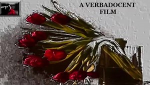 The Royal Philharmonic Orchestra - Besame Mucho