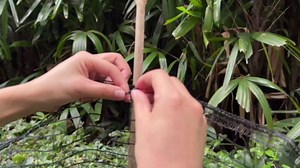 Deer Fence Netting, 55GSM Heavy Duty Deer Netting, 4 x 100ft Deer Fence for Garden, Reinforced Edges Anti Bird Netting Mesh with Ties, Stakes, for Fruit Trees Vegetable, Raised Bed(55GSM, 4 x100ft)