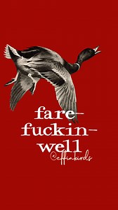 Effin' Birds on Reels