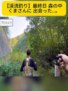 【渓流釣り】最終日 森の中 くまさんに 出会った…。#fyp #videos #vairal #foryoupage❤️❤️ #fishing #nikatafishing