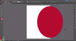 Make flyer Business professional in Adobe illustrator #adobeillustrator #flyer #graphicdesign #business #learnontiktok #foryou #foryoupage #learnontiktok #viral #fybシ | Graphic Mixxx