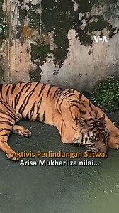 13K views · 5.2K reactions | Medan Zoo dinilai memiliki masalah yang...
