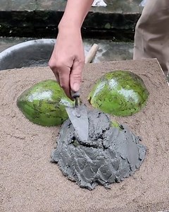 How to make tree pots with cement and coconut | Genius Inventions