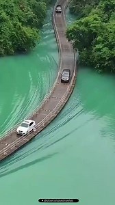 12 reactions | #memes #pontedabarca | Pulmões lutadores | Facebook