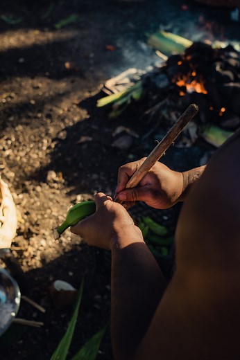 The Umu is a traditional underground oven that Polynesians use to cook large quantities of food. The Umu is created by placing rocks in the pit, and building a fire on top of them. Once the rocks are sufficiently heated, the fire is extinguished, and the food is placed directly on the hot rocks. The pit is then covered with banana leaves and even blankets to trap heat and smoke, allowing the food to cook. The Umu is used to carefully cook whole pigs, bananas, sweet potatoes, taro, chicken, fish 