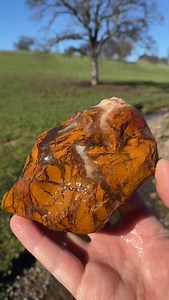 Rockhounding in The Central Valley for Northern California Jaspagate. 🐯⛏️ . . . #jasper #rockhound #lapidary #rockhounding #geology | Zach Ratley