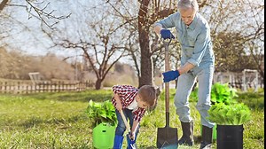 Potato Grow Bags, 4-Pack 10 Gal Felt Potatoes Growing Containers with Flap & Handles Garden Planting Bag for Vegetables Fruits Plants Breathable Nonwoven Fabric Pots(Green & Black)