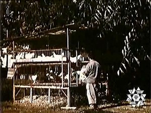 The Spielberg Jewish Film Archive - Israel Journey