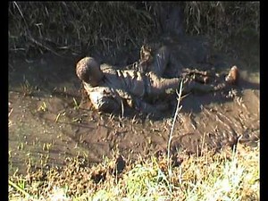 Suitbusters Mudfreak