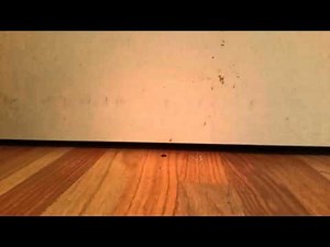 Boomerang homemade bumpers 2