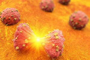 New Class of Drugs for Breast Cancer Therapy | Drug Discovery And Development