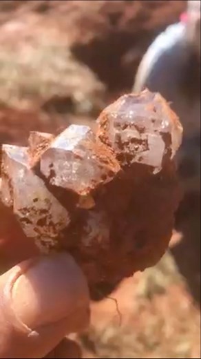 Conover NC!!…By far my favorite prospect of ALL!!!…this footage is from the the first dig on new territory at the neighbors prospect…I found a vein in the first two inches of the ground…and allowed a couple from PA to work the area!!…my last dig will be mid January before the new baby arrives…and it will be in Conover!!…hope to see you there!!…Thank you!!..Enjoy!! | Daniel Coleman