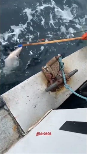 صيد هلبوت عملاق 🎣 خيط واحد مليء بأسماك ضخمة!