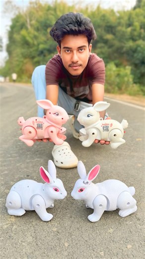 Remote Control Mini Rabbit & Big Rabbit 🐇 Unboxing