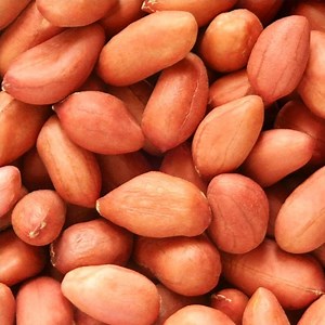 120 Virginia Jumbo Peanut Seeds: Non-gmo Fresh Garden Seeds - Etsy