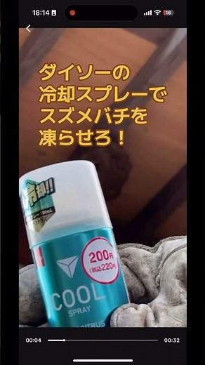 ダイソーの冷却スプレーでスズメバチを凍らせろ🥶🥶🥶【終末殺蜂家】 #スズメバチ #蜂 #蜂の巣