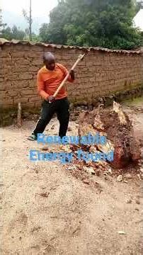 Biomass is one types of renewable energy #renewableenergyUTAB
