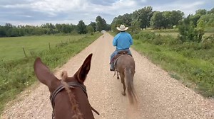 1K views · 25 reactions | RED DAWG AND HERSHEY OUT GETTING RIDE TIME AND MILES! | Max Bishop | Facebook