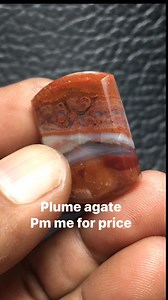 Plume agate #javaislandgems #uniqueagate #NaturalBeauty #cabochonsforsale #cabochon #stone #minerals #mossagate # | Yazid Ikhsani