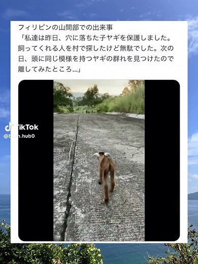 ⬆️押してみ？ #おすすめ #面白い