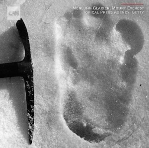 These scientists ran high-tech DNA tests on bits and pieces of items believed to be from a Yeti. What they found solves a mystery for the ages. http://cnn.it/2AkNrHc | CNN International