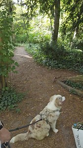 2.4K views · 144 reactions | Bugteeth Channel on Reels | Facebook