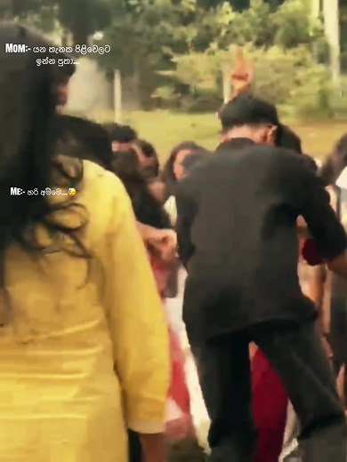 Avatar Hornet Dance Template: Funny Moments