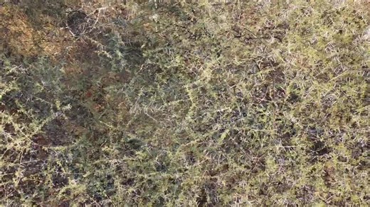 Applications for our last APU training course for 2023 are open, the intake date is 18 October 2023. Don't miss your chance to be part of this ground breaking industry and do something that really matters. Be the change. whatsapp 0769167987 training@protrackanti.co.za