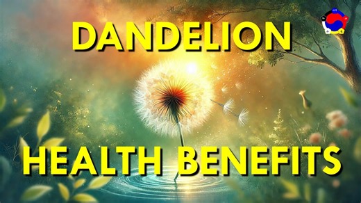 Health Benefits of Dandelion and How To Eat