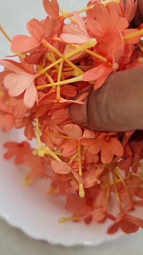 How to tie firecrackers, different way of tying flowers into the garland #firecrackers #flowers #flowergarland #string #garland #tying #flowertying #flowertyingmethod | DIY Creative | Facebook