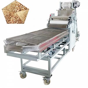 [Hot Item] Automatic Stainless Steel Almond Nut Chopping Machine with Low Price