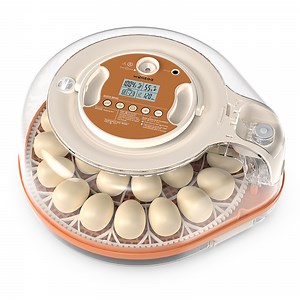[Hot Item] Hhd New Design Dual Power Supply 26 PRO Chicken Birds Egg Incubator