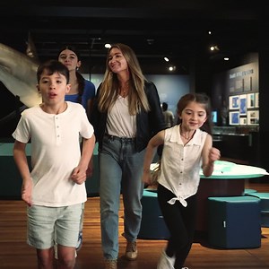 146 reactions · 11 shares | Take a deep dive with Sharks, an exhibition with bite! | Australian Museum | Facebook