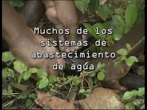 El séptimo video: sobre gestión comunitaria de abastecimiento de agua