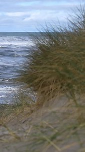 Jesus Messiah! Name above all names! | Maranatha! Music