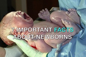Facts about newborns: 7 Important Facts About Newborns | theAsianparent Singapore