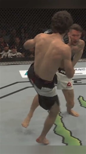 ¿Qué sería del peso pluma si Magomedsharipov (18-1) no se bajaba prematuramente de UFC? Una combinación de factores que incluyen cancelación de peleas, promesas inconclusas de título, lesiones, detalles con su sistema inmune y hasta barreras religiosas lo llevaron a decir adiós. #UFC #MMA | Combático