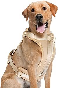No Pull Lightweight Dog Harness: Adjustable Durable Breathable Mesh Pet Vest Harness with Soft & Comfortable Cushion, for Small Medium Large Dogs (L, Sand Color)