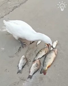 817K views · 770 reactions | Rhinon Mechanix on Reels | Facebook