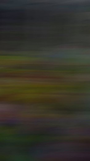 This claw machine has candy stuck inside🤠 #clawmachine #arcades #round1arcade #cranegame #arcade #gatlinburg | Rowland Arcade Couple