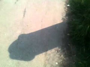 Penis shadow