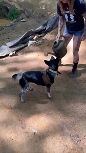 1K views · 79 reactions | From Nina... "Fun times with lots of women...