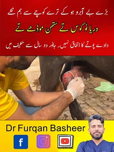 تھن میں اتنی بڑی رسولی #dairyfarm #petcare #catlife #cow #veterinary #pet #veterinarian #dogs #sheepfarming #goatlife #catlover #farming‎ #cat #buffalo #cowfarm #petlovers #dairyfarming #farmlife #dairyfarminguk #goatfarming #calf | Dr Furqan Basheer