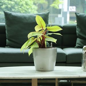High Quality Minimalist Plastic Garden Pots Planters Indoor Outdoor with Self-Watering System
