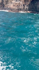 1K views · 36 reactions | Dolphins - Napoli coast, Kauai Hawaii. | Maria Peth: Angelic Enlightenment | Facebook