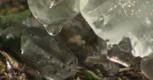 Ice Age Trail: Janesville