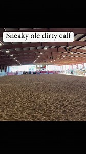 1.3K views · 22 reactions | Sneaky ole dirty calf. #calfroping #rodeo #cowboy | Patton Ranch | Facebook