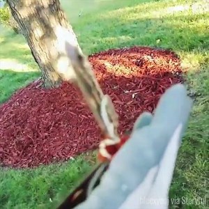 347K views · 4.5K shares | Pokemon exist!  | BODAISHIN | Facebook