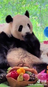 Nuan Nuan birthday party! Like a princess! 😍😍😍😍 | Pandas, a Light In My Heart